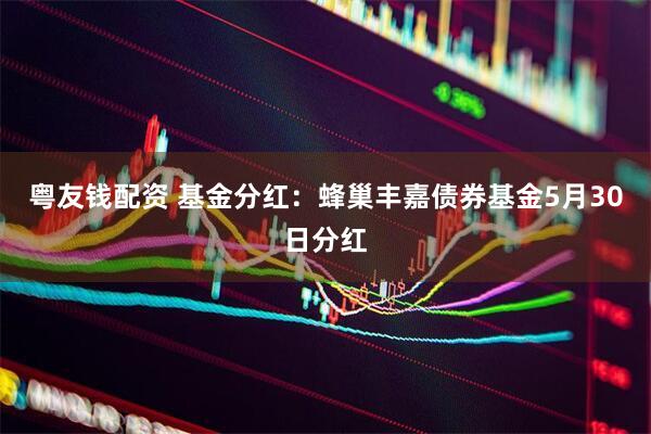 粤友钱配资 基金分红：蜂巢丰嘉债券基金5月30日分红
