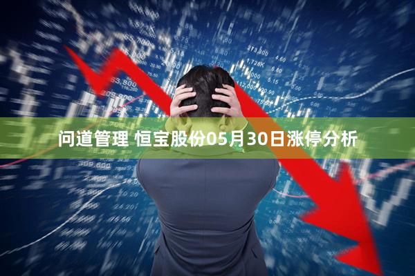 问道管理 恒宝股份05月30日涨停分析