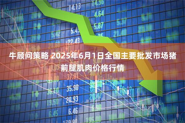 牛顾问策略 2025年6月1日全国主要批发市场猪前腿肌肉价格行情