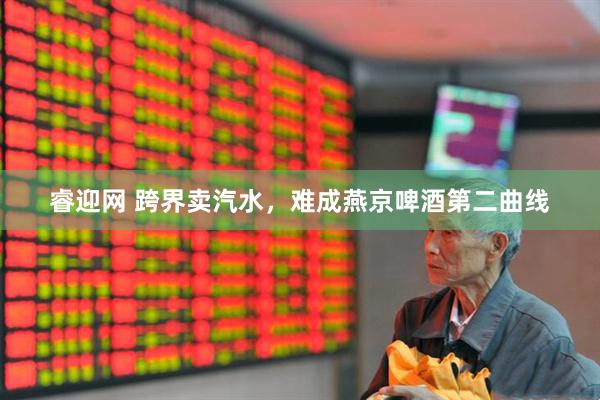 睿迎网 跨界卖汽水，难成燕京啤酒第二曲线