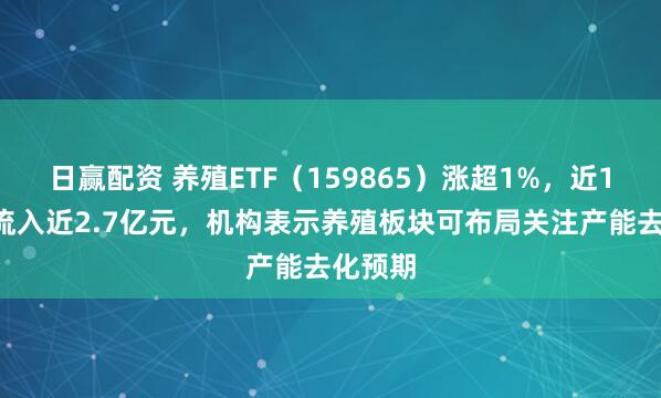 日赢配资 养殖ETF（159865）涨超1%，近10日净流入近2.7亿元，机构表示养殖板块可布局关注产能去化预期