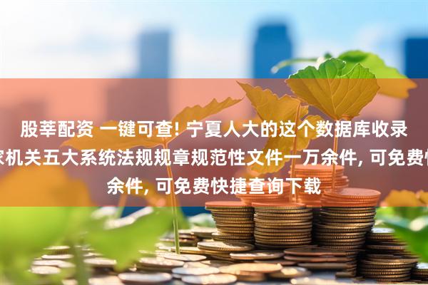 股莘配资 一键可查! 宁夏人大的这个数据库收录全区四级国家机关五大系统法规规章规范性文件一万余件, 可免费快捷查询下载