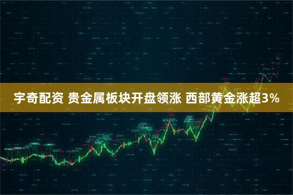 宇奇配资 贵金属板块开盘领涨 西部黄金涨超3%