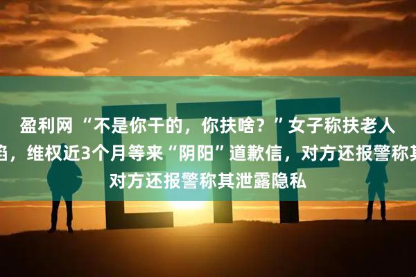 盈利网 “不是你干的，你扶啥？”女子称扶老人后反被诬陷，维权近3个月等来“阴阳”道歉信，对方还报警称其泄露隐私