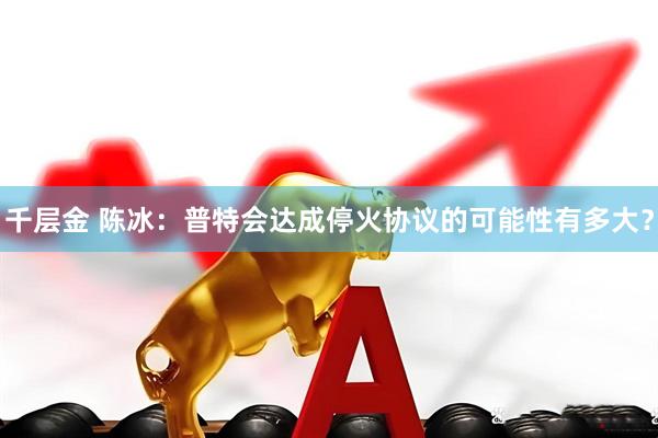 千层金 陈冰：普特会达成停火协议的可能性有多大？