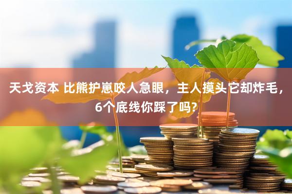 天戈资本 比熊护崽咬人急眼，主人摸头它却炸毛，6个底线你踩了吗?