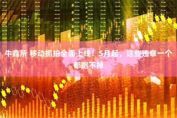 牛鑫所 移动抓拍全面上线！5月起，这些违章一个都跑不掉